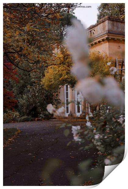 Autumn in Botanical Gardens in Bath Print by Duncan Savidge