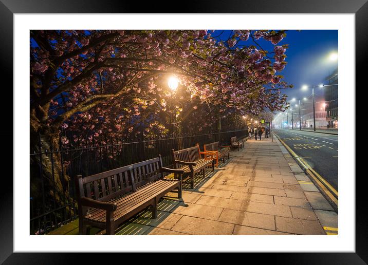Spring At Princes St Sidewalk In Edinburgh At Night Framed Mounted Print by Artur Bogacki