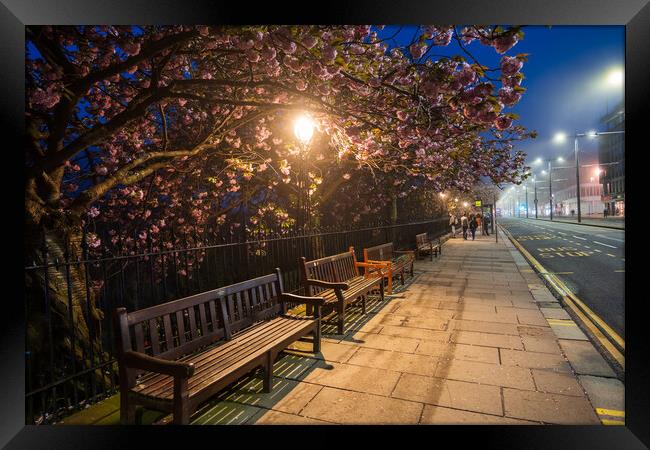 Spring At Princes St Sidewalk In Edinburgh At Night Framed Print by Artur Bogacki