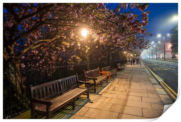 Spring At Princes St Sidewalk In Edinburgh At Night Print by Artur Bogacki