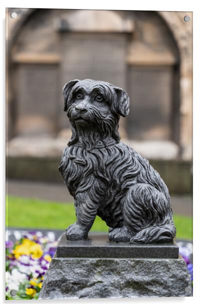 Greyfriars Bobby Statue In Edinburgh Acrylic by Artur Bogacki