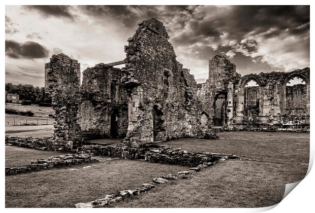 Easby Abbey Sepia Print by Tim Hill