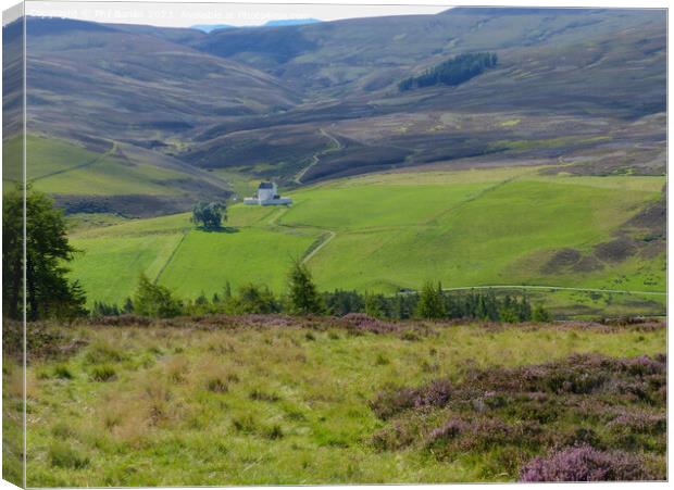 Late Summer in the hills around Corgarff Castle, A Canvas Print by Phil Banks