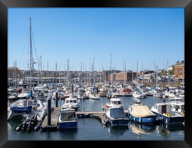 Milford Marina, Milford Haven, Pembrokeshire. Framed Print by Colin Allen