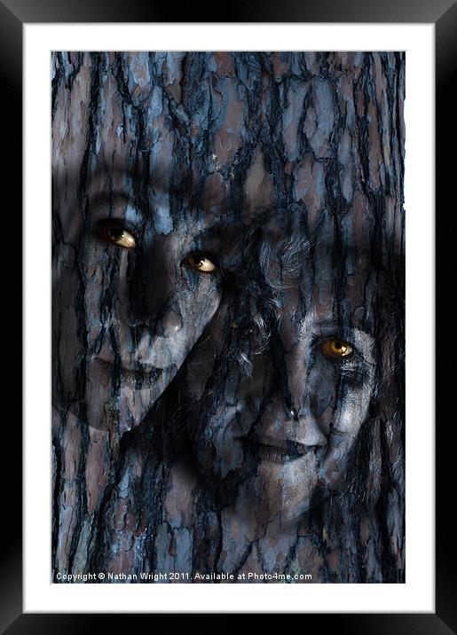 Mother and daughter tree Framed Mounted Print by Nathan Wright