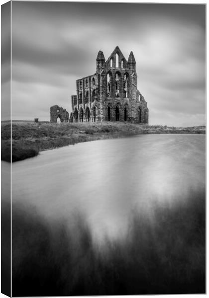 Whitby Abbey Black and White Canvas Print by Tim Hill