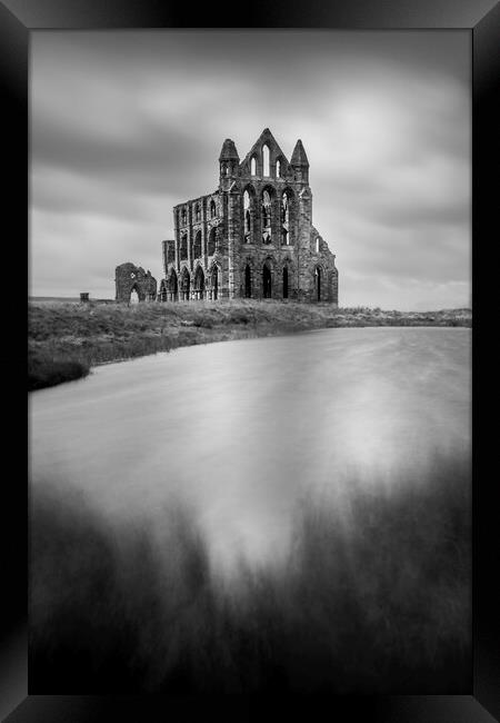 Whitby Abbey Black and White Framed Print by Tim Hill