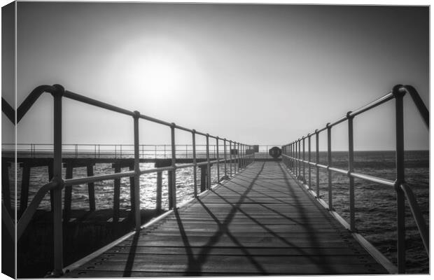 Whitby East Pier Extension Bridge Canvas Print by Tim Hill