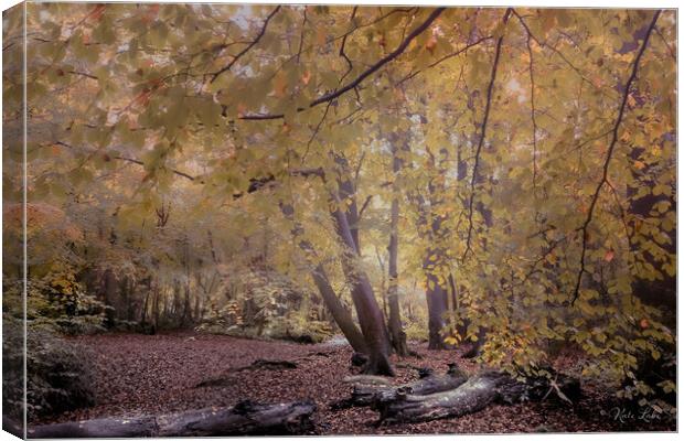Autumnal Southborough Woodlands Canvas Print by Kate Lake