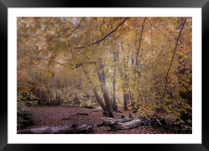 Autumnal Southborough Woodlands Framed Mounted Print by Kate Lake