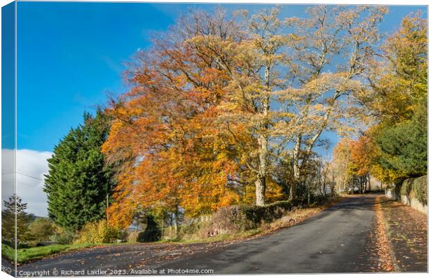 Autumn at Middleton in Teesdale Canvas Print by Richard Laidler