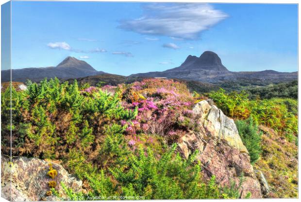Suliven & Canisp Mountains Assynt North West Highland Scotland Canvas Print by OBT imaging