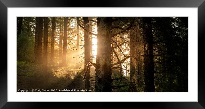 Snake Woodland Morning Light Framed Mounted Print by Craig Yates