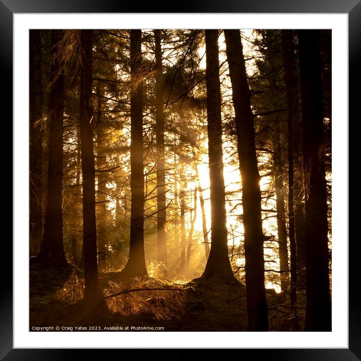 Snake Woodland Morning Light. Framed Mounted Print by Craig Yates