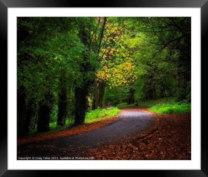 Along The Road to Autumn. Framed Mounted Print by Craig Yates