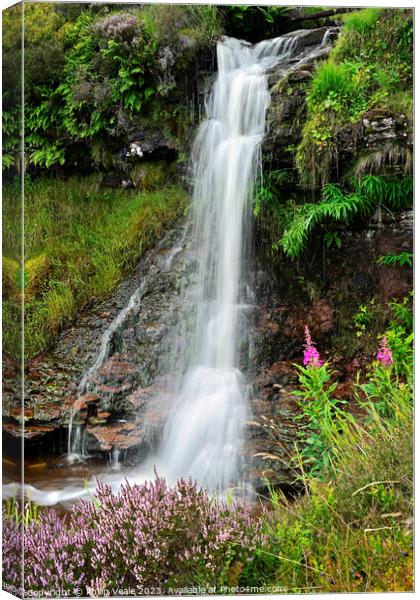 Waterfall on Nant y Gerdinen in Summer. Canvas Print by Philip Veale