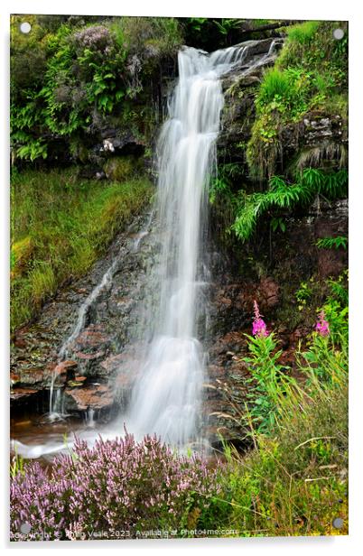 Waterfall on Nant y Gerdinen in Summer. Acrylic by Philip Veale