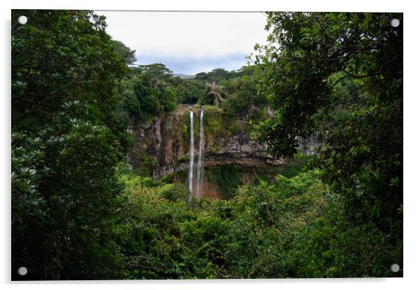 Chamarel Waterfalls in Mauritius Acrylic by Dietmar Rauscher