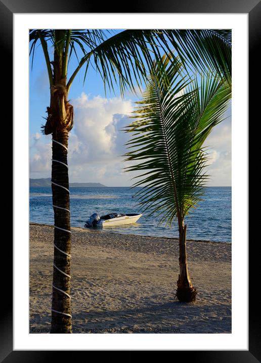 Beach and Palm Trees on Preskil Island, Mauritius in the Morning Framed Mounted Print by Dietmar Rauscher