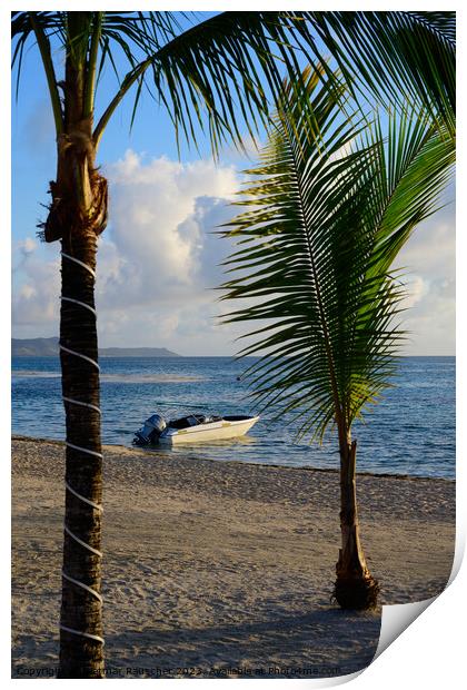 Beach and Palm Trees on Preskil Island, Mauritius in the Morning Print by Dietmar Rauscher