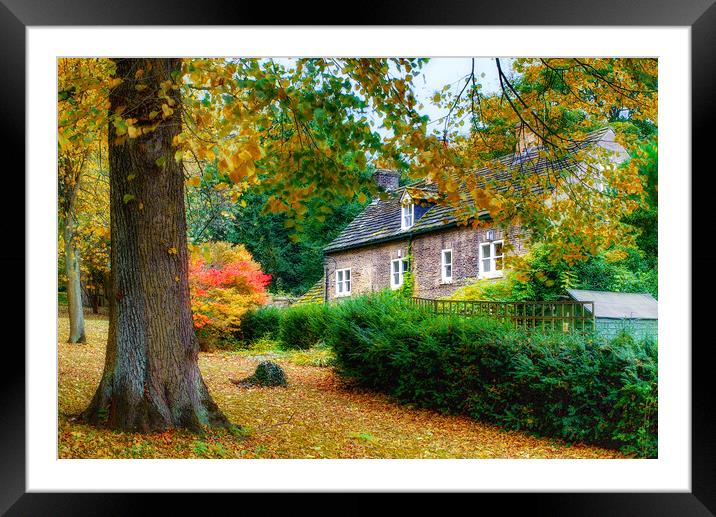 Autumn in Wentworth Village Framed Mounted Print by Alison Chambers