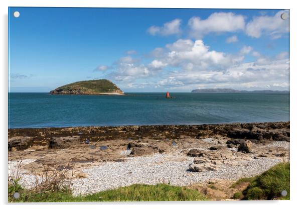 Puffin Island  Acrylic by Kevin Hellon