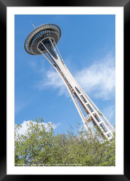 Dutch angle view of the Space Needle from Seattle Center, Seattle, Washington, USA Framed Mounted Print by Dave Collins
