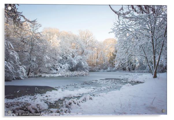 Frozen Pond Acrylic by Amanda Elwell