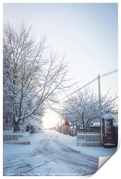 Winter Lane With Snowy Fence Print by Amanda Elwell