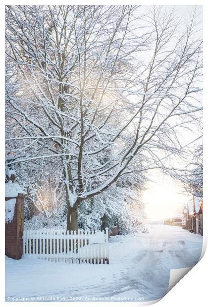 Country Lane In Winter Print by Amanda Elwell