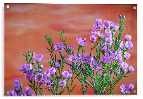 A bouquet of flowers Acrylic by Bill Allsopp