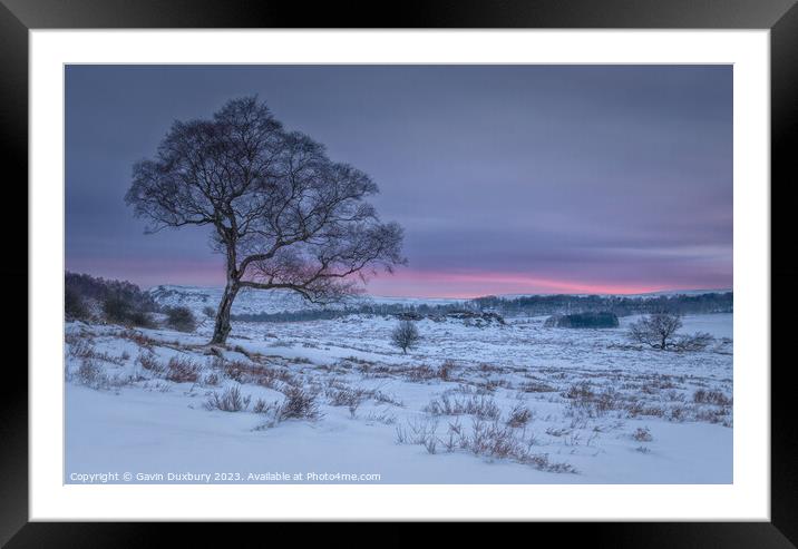 The First Colours Of Dawn Framed Mounted Print by Gavin Duxbury
