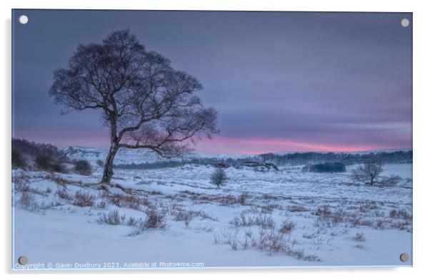 The First Colours Of Dawn Acrylic by Gavin Duxbury