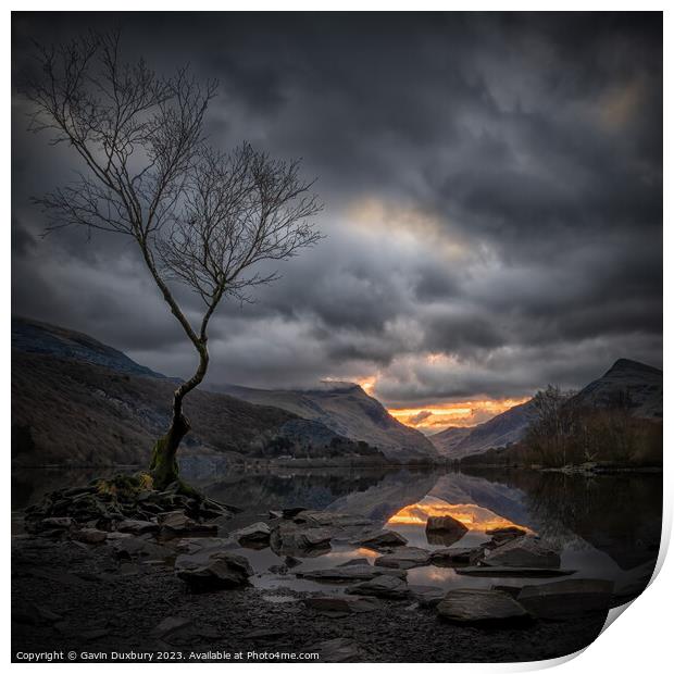 Moody Dawn At Llyn Padarn Print by Gavin Duxbury