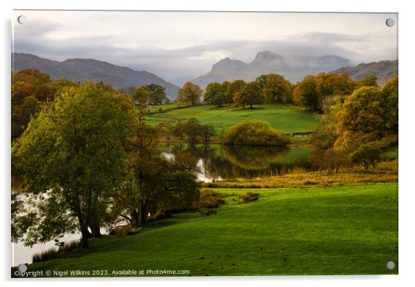 Langdale Pikes, Lake District Acrylic by Nigel Wilkins