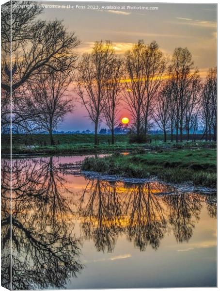 Sunset reflection with threes Canvas Print by Veronica in the Fens