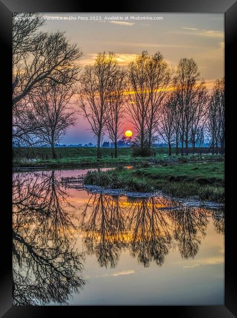 Sunset reflection with threes Framed Print by Veronica in the Fens