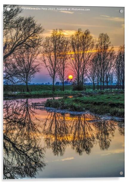Sunset reflection with threes Acrylic by Veronica in the Fens