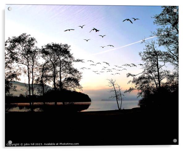 Dawn flight. Acrylic by john hill