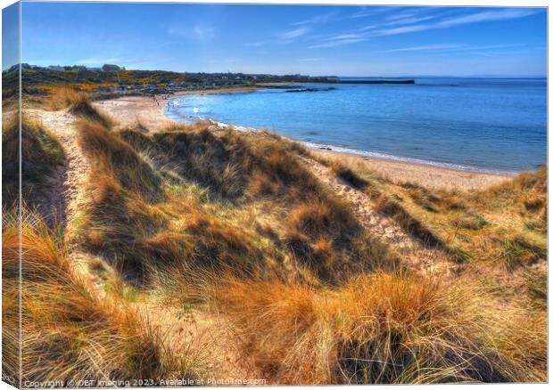 Hopeman Beach Morayshire Scotland Golden Shorelight Paths Canvas Print by OBT imaging