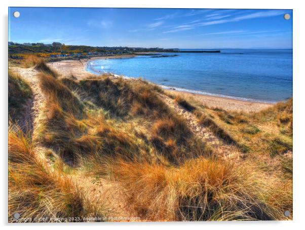 Hopeman Beach Morayshire Scotland Golden Shorelight Paths Acrylic by OBT imaging