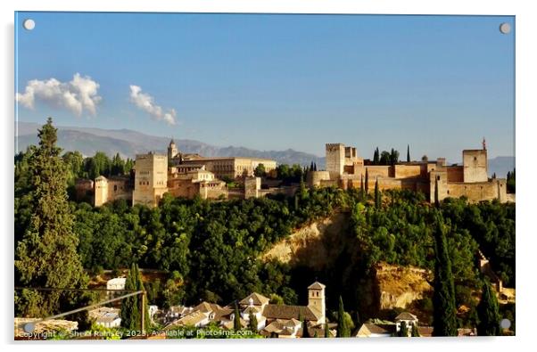 The Alhambra Palace Granada Acrylic by Sheila Ramsey