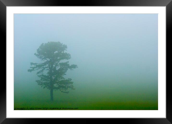 Tree in Fog, Shenandoah National Park Framed Mounted Print by John Chase