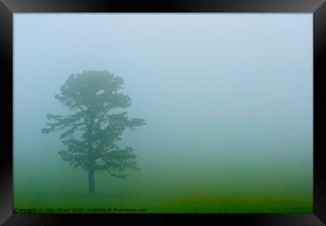 Tree in Fog, Shenandoah National Park Framed Print by John Chase