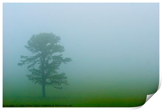 Tree in Fog, Shenandoah National Park Print by John Chase