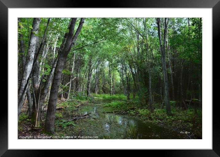 Beside the Path, a walk in the Forest Framed Mounted Print by Ken Oliver