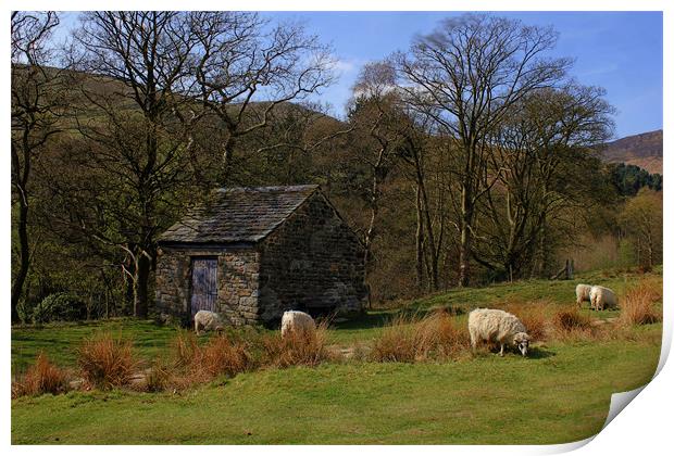 GRAZELANDS Print by Martin Parkinson