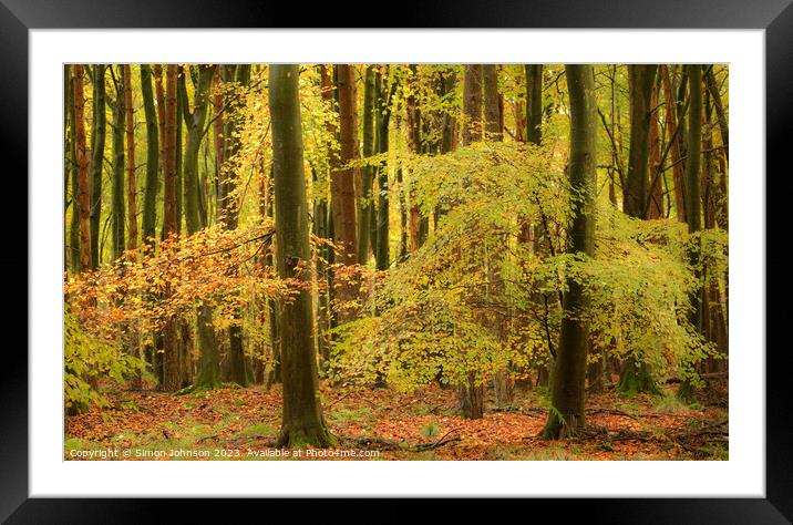 Autumnal woodland Framed Mounted Print by Simon Johnson