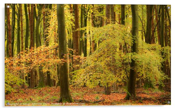 Autumnal woodland Acrylic by Simon Johnson
