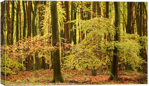 Autumnal woodland Canvas Print by Simon Johnson
